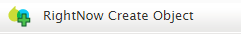 RightNow Create Object workflow settings