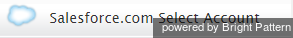 Salesforce.com Select Account scenario block