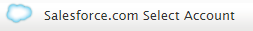 Salesforce.com Select Account workflow block