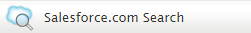 Salesforce.com Search workflow block