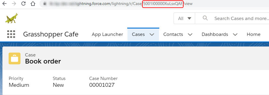 SFDC-CaseObjectIDExample-a-5321.PNG